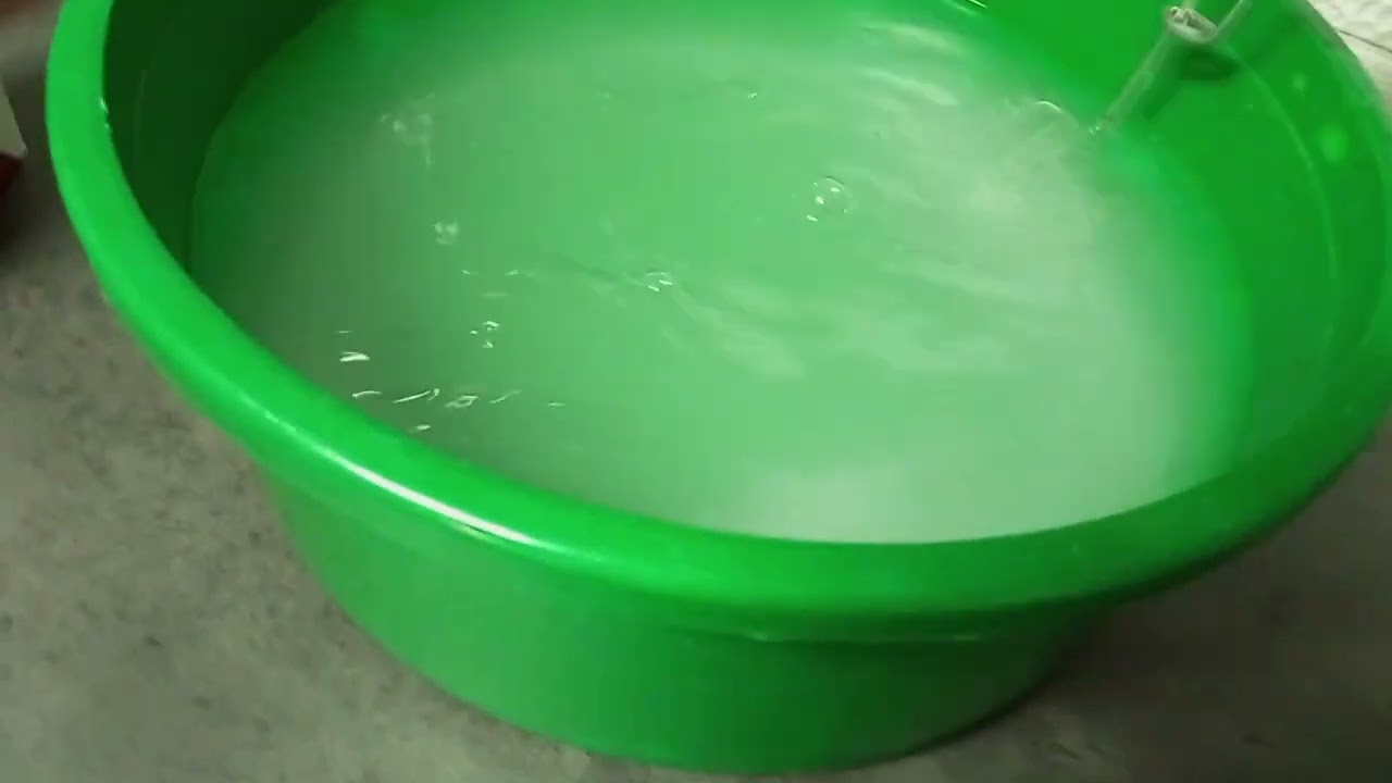 Förberedelser till rökning av rådjur och gris.