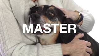 Adopt Master at NKLA