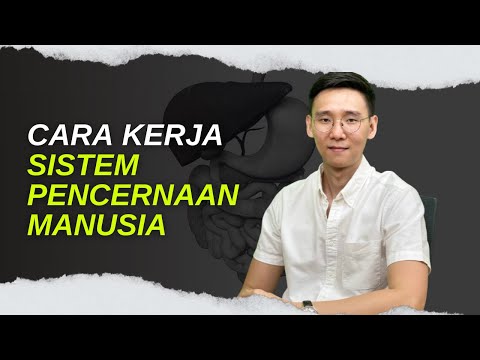 Video: Di manakah proses terjadinya pengadukan pada sistem pencernaan?