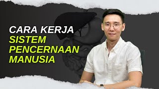 Cara sistem pencernaan bekerja, Wajib kamu ketahui!