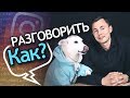 Как Разговорить подписчиков INSTAGRAM? Как заставить подписчиков комментировать посты.