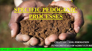 Decalcification, Podozolization, Laterization, Salination, Solonization, solodization, Pedoturbation