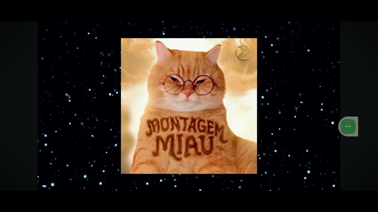 PHONKS VIRAL SONG (SPEED)