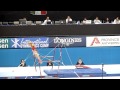 Seitz elisabeth ger barres aa all around final mondiaux antwerp 2013