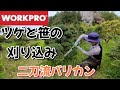 ツゲと笹を二刀流電動工具で刈り込み検証❗【WARKPRO】レビュー