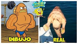 TOP 8 SPONGEBOB CHARACTERS IN REAL LIFE TOP 8 SPONGEBOB CHARACTERS IN REAL LIFE