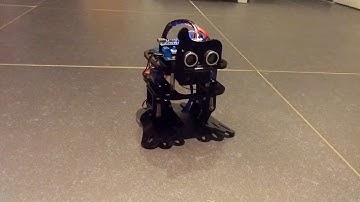My "Sunfounder DIY 4-DOF Robot Kit - Sloth" (dancing)