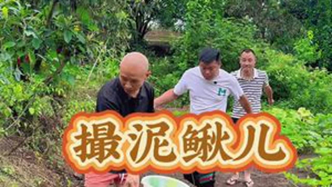 夏天雨后的乡村是抓泥鳅儿的时间，70、80是否还记得……#新农人计划2025 #原创作品 #农村人的纯朴生活再现儿时的记忆 #桂圆山莊 #三哥和芬姐乡村生活