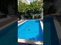 Beautiful villa swimming pool in MBR City#trending #song #tamilsong #music #subscribe #like #💯🇦🇪