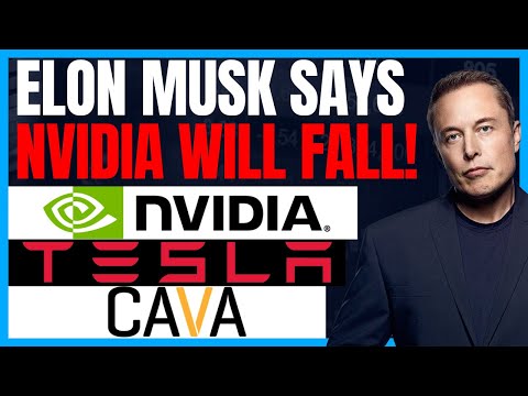 Stock Market News: Elon Musk Says Nvidia Stock Will Fall In Price! CAVA Stock IPO Analysis!
