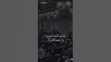 مقتطف من تلاوة الشيخ #عبدالمحسن_القاسم  من عشاء 20 شعبان 1446هـ
