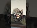 Sugargliderlover Petaurodeazucar Michis Humor Pets Like Suscribe Yosoytadeo Sugargliderlover Petaurodeazucar Michis Humor Pets Like Suscribe Yosoytadeo