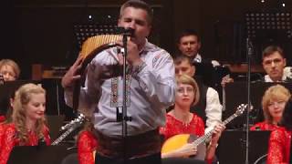 картинка: 