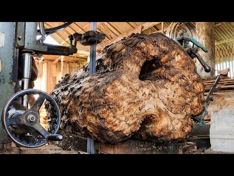 Extradiory! The process of sawing large and old teak stumps - YouTube