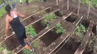 Warrior Dash Hawaii 2013