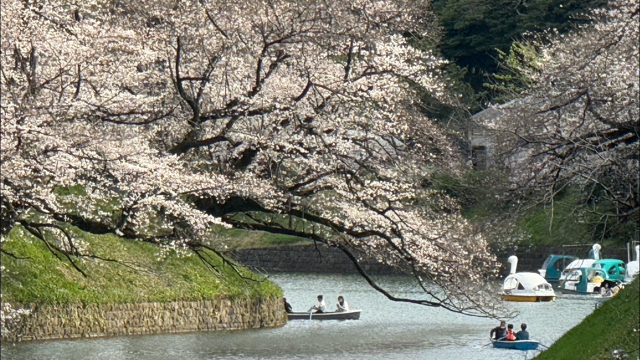 Japan Tokyo Chidorigafuchi Green Way 千鳥ヶ淵綠道