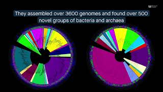 Newly explored diversity and metabolism of deep sea hydrothermal vent microbes