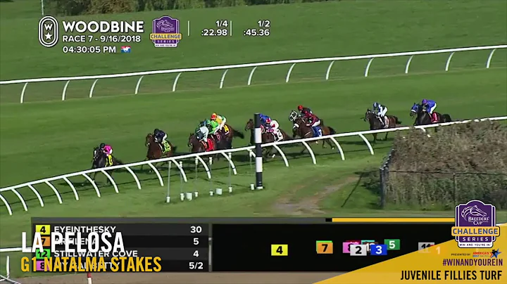 2018 Natalma Stakes: La Pelosa