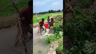 #bdcomedy  #funnyclips  #lol  #memes  #trending  #youtubeshorts