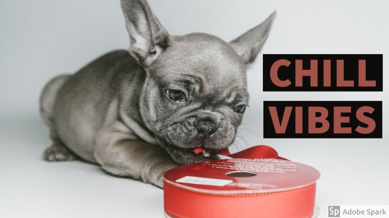 RELAXATION, FOCUS AND STUDY MUSIC WITH VIDEO. AMAZING VISUALS TO GO WITH MUSIC -TIME TO CHILL 💗♫