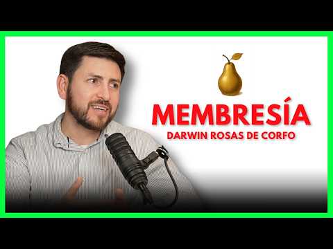 EXCLUSIVO 🍐 ¿Por qué muchos emprendedores no logran ganar fondos CORFO o Sercotec?