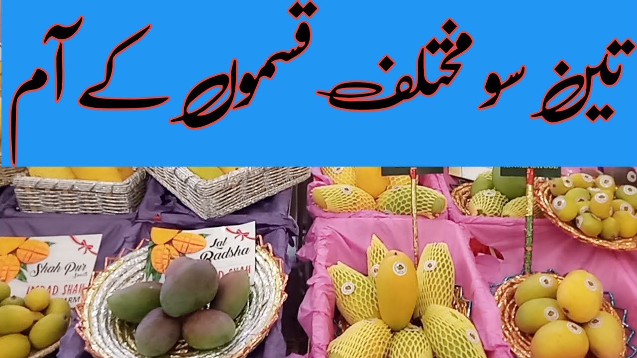 mangoo festival ||DHA mangoes festival ||DHA MULTAN MANGOO FESTIVAL ...