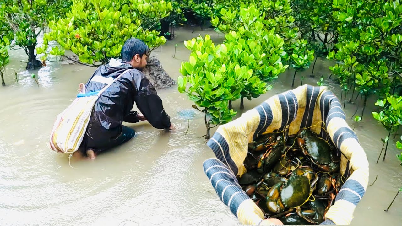 মাছ,কাকড়া,রান্না,খাওয়া দাওয়া আর কি চাই! @ANDAMAN_HUNTERS