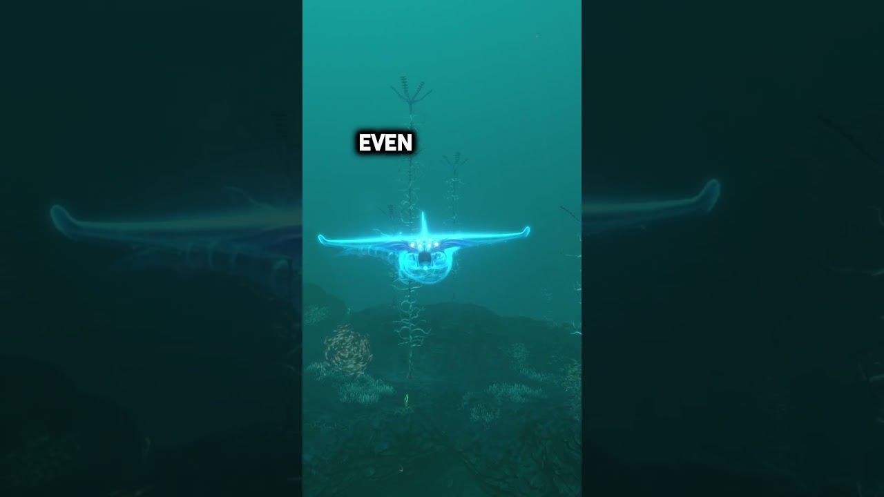 The Terrifying Truth Behind The Ghost Leviathans