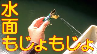 メガバスの虫たち Megabass BUG PLUGS