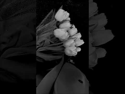 يارجائي رباه عفوك إني للنور مدت يداي صوت جميل اكسبلور لايك دويتو