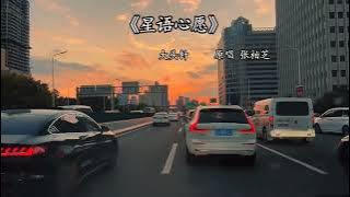 大头针 翻唱 - 星语心愿