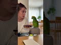 Parrot Exposes Woman Lying on the Phone TheRealBeako🦜🤣 Snitching#shortvideo#youtub