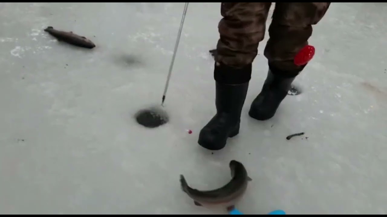 Водопад рыбалка видное русфишинг