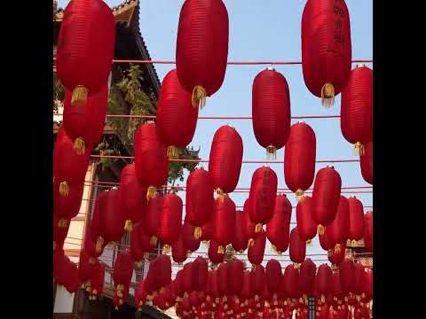 facts about China short #shorts