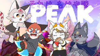 【Peak：コラボ配信】それはもはや壁..みんなで壁、じゃなくて山を攻略していくよ！（ #Peak ）