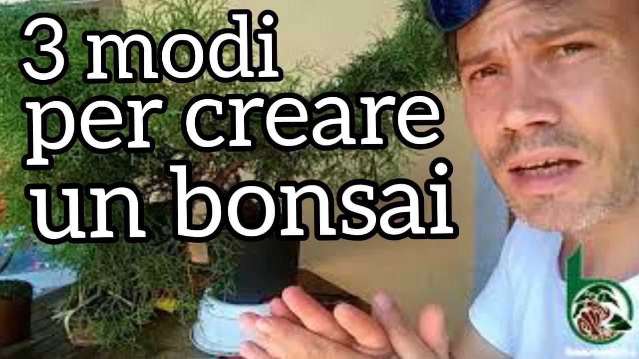 3 modi per creare un bonsai. Parte 1