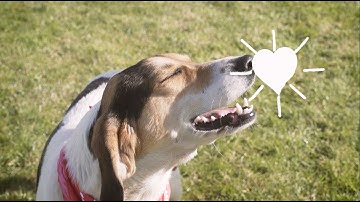 Thumbnail of Remember Who Your Friends Are (Official Video)