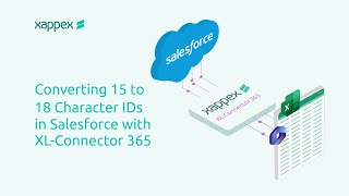 How to mass convert ID's in Salesforce from Excel with XL-Connector 365