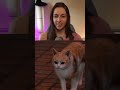 Cat V. Judgment Goons
