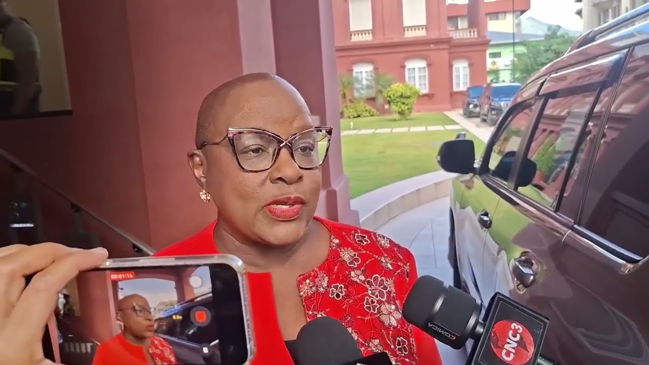 Camille Robinson-Regis returns to Parliament