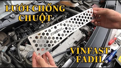 Lắp lưới chống chuột ô tô Vinfast Fadil | Lưới chống chuột ô tô
