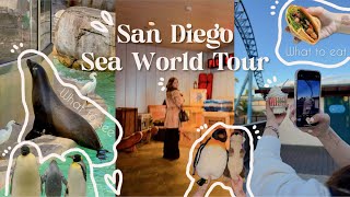 Sea World San Diego Tour Vlog: what to see and what to eat