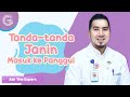 Apa Tanda-tanda Janin Sudah Masuk Panggul? - dr. Ardiansjah Dara Sjahruddin, SpOG., M.Kes.