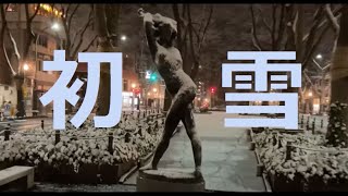 初雪の様子,宮城県仙台市,定禅寺通り,国分町通り【4K,街の風景】Japanese First snow.Jozenji-dori in Sendai City, Miyagi Prefecture.