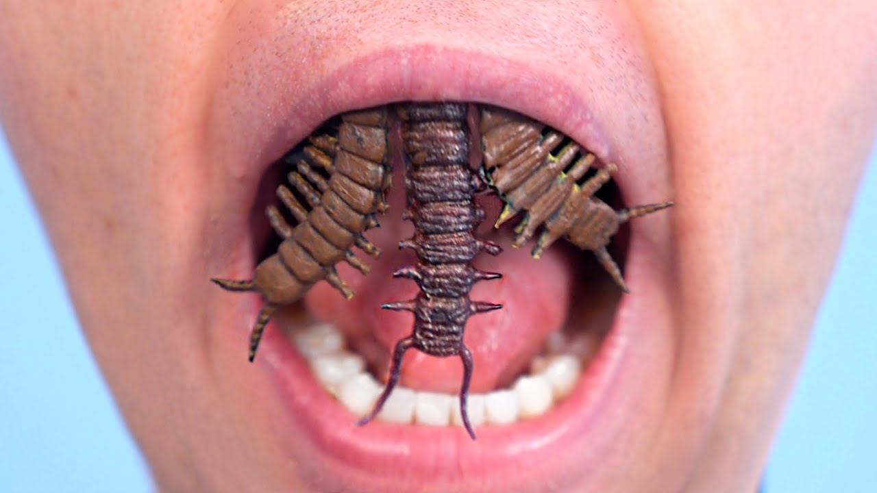 BUGS GROW FOR TEETH! - youtube