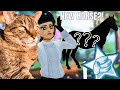 MY CAT CHOOSES THE HORSE I BUY😳🛍|| Star Stable Online