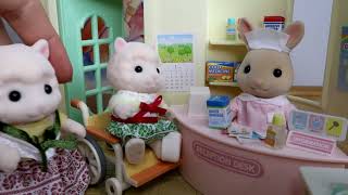 ASMR NA CLÍNICA MÉDICA • SYLVANIAM FAMILIES