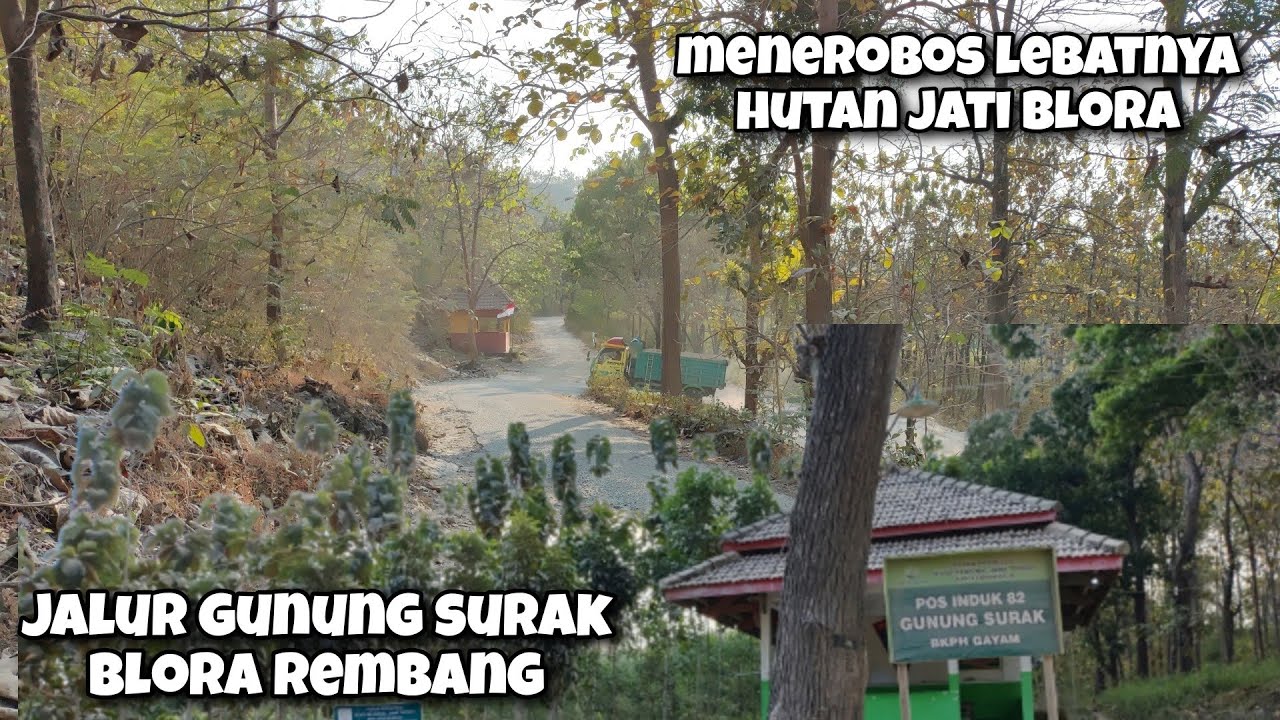 Alternatif Blora Rembang Lewat Gunung Surak Lebih Cepat Namun Harus Waspada