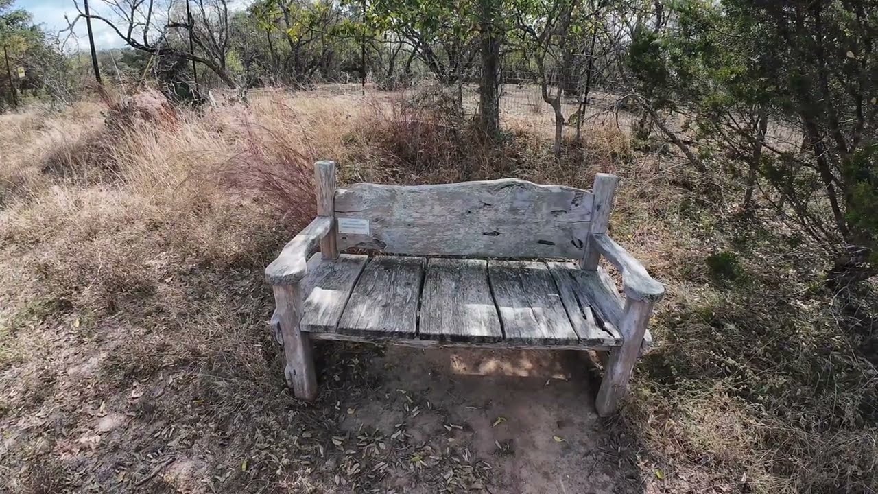 Lady Bird Johnson Park Nature Trail Live Oak Wilderness Trail