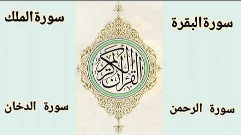 سورة البقرة ، سورة الملك ، سورة الرحمن ، سورة الدخان | #القرآن_الكريم #اكسبلور #المصحف_المرتل #لايك